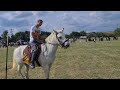 Connemara irish happy with yusuf gondal  vip club entry in tent pegging good  show horse 