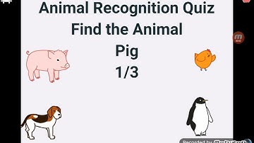 Scratch JR Animal Recognition Quiz