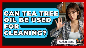 Can Tea Tree Oil Be Used For Cleaning? - Insects and Invaders