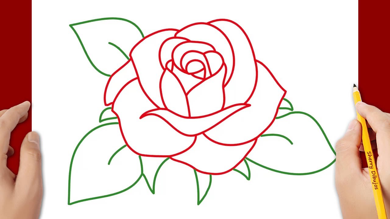 Cómo Dibujar Una Rosa Youtube