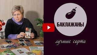 Хитсад ТВ - Рассада,  Семена агроуспех 🍆 обзор - Лучшие сорта баклажанов на рассаду(Рассмотрим лучшие сорта баклажанов и в чем их особенности ✧ Видео про Баклажаны (часть 1) Остальные смот..., 2017-01-19T08:05:39.000Z)