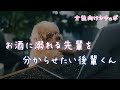 お酒に溺れる先輩を分からせたい後輩くん
