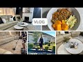 VLOG | LIVING ROOM REFRESH|CLEANING|COOKING|GARDENING