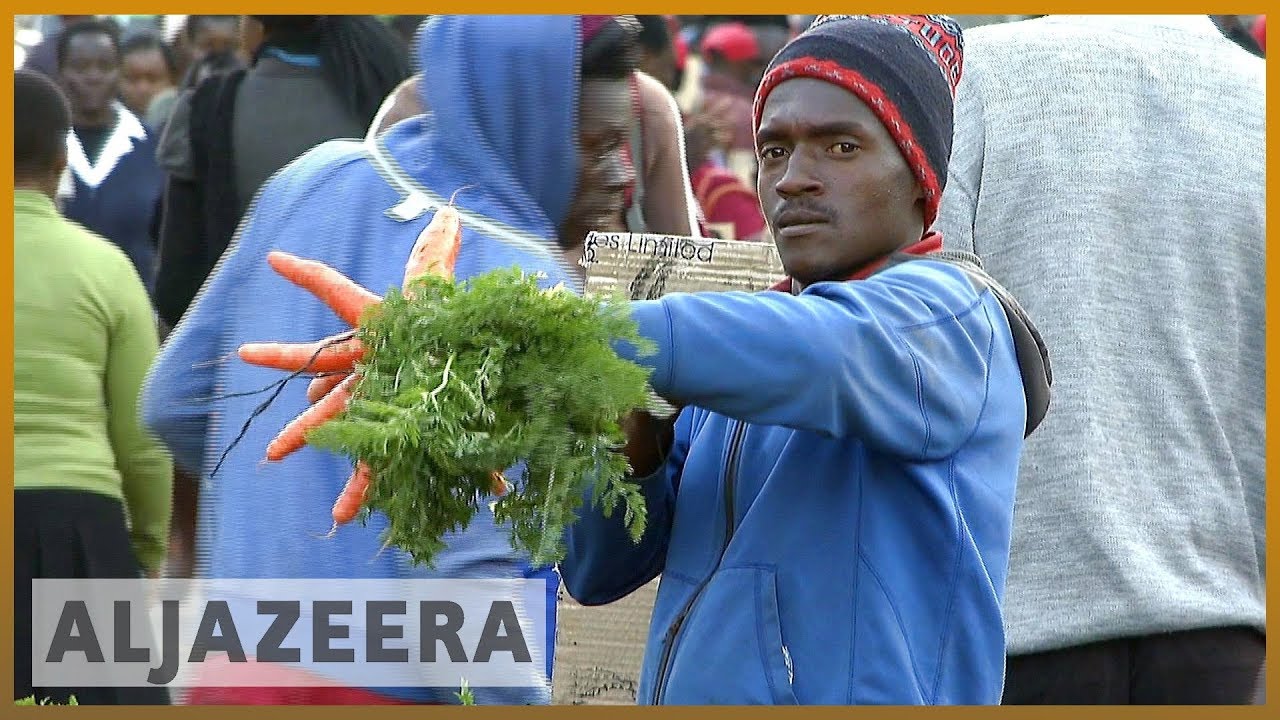 🇿🇼 إرث موغابي الاقتصادي يُلقي بظلاله على انتخابات زيمبابوي | الجزيرة الإنجليزية
