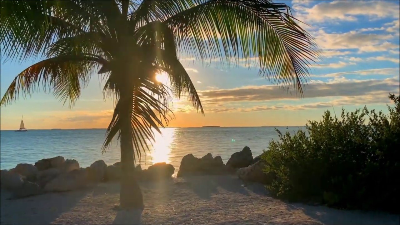 What is The Golden Rule? - The Wisdom of The Wise Ones