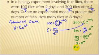 fitting exponential models to data