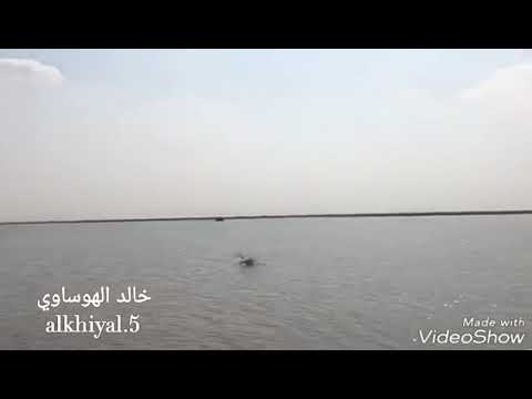 شيلة أبشروا طاح المطر بدون إيقاع