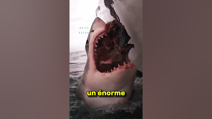 La nature en action : le requin blanc comme vous ne l’avez jamais vu 🦈