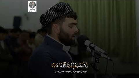 پێشەوا قادر الكردي سورة الكافرون