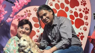 #foryou #trending #viral #follow #love #goofy #fun #old #dog #pets #funny #petlover #doggo #fyp #❤️ 