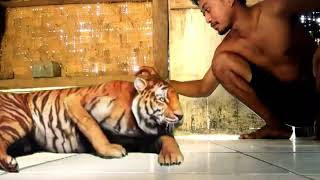 Harimau jinak