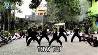 PENCAK SILAT TEPAK TILU - SD BINA TALENTA