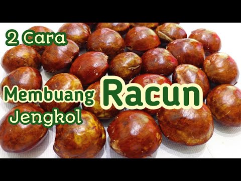 Cara Membersihkan Kulit Jengkol
