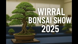 Wirral Bonsai Show 2025 | Stunning Bonsai Exhibition Highlights