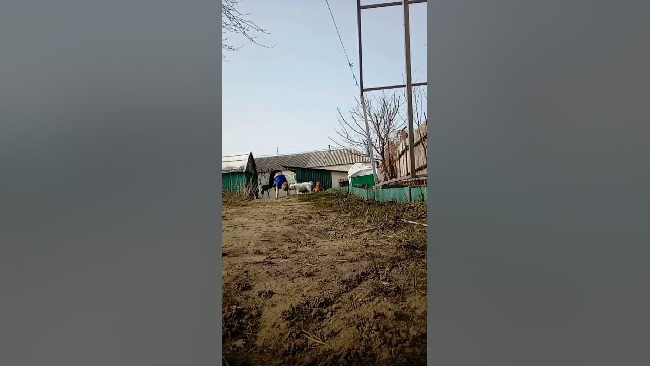 #квадробика #квадробикаспорт #плисврек #подпишись #рекомендации #спорт ...