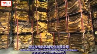 ribbed smoked sheet RSS rubber production process 烟片胶的制作过程1