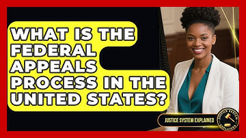 What Is the Federal Appeals Process in the United States? | Justice System Explained