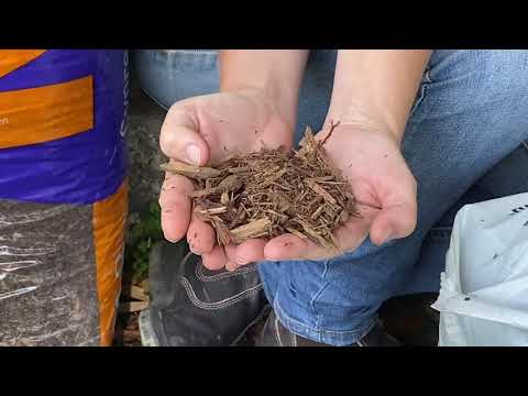 Vídeo: Cypress Mulch Informações - Prós e contras do Cypress Garden Mulch