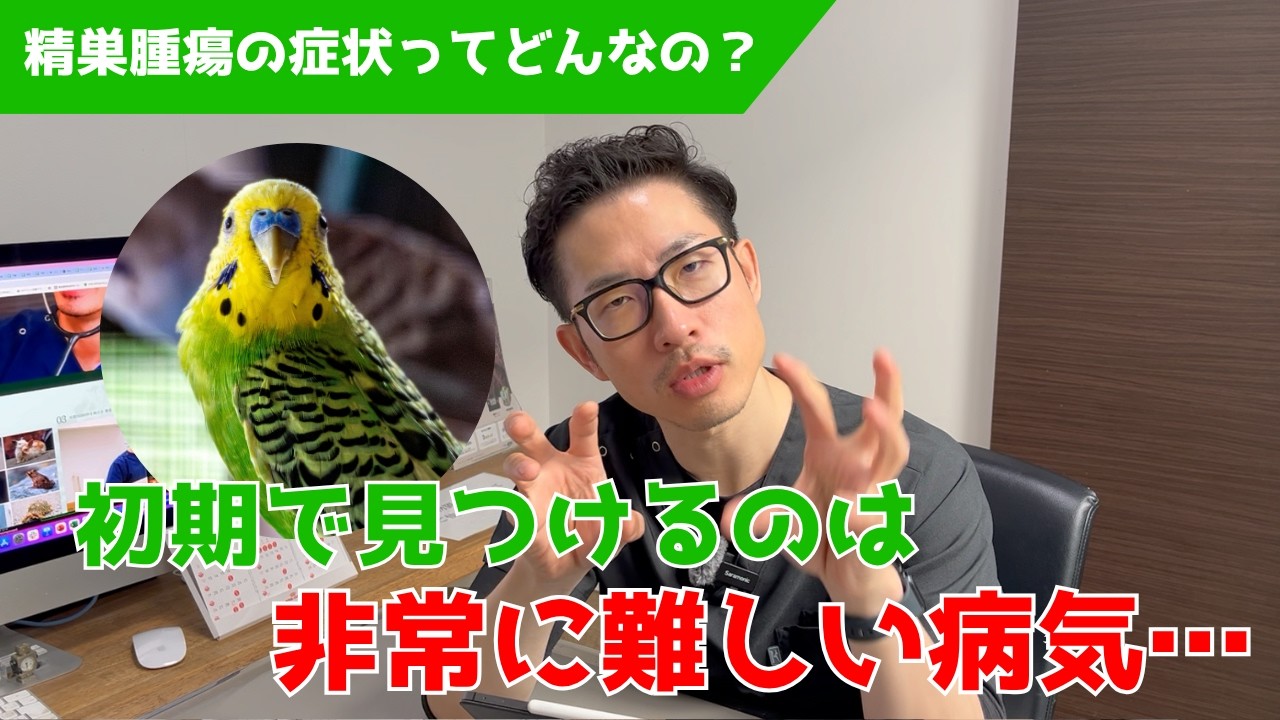 バード・クリニック・プラクティス ―鳥の治療と看護 Q&A Corner] What should I do if there isn't a bird specialist