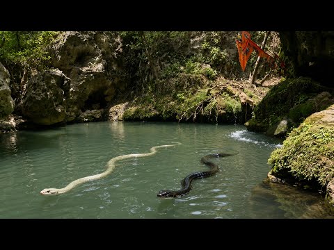 कलसिया महादेव /यहाँ है पूरा ब्रह्माण्ड 😱🔱