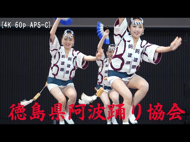 徳島　阿波踊り　ピクチャーレコード EP/7