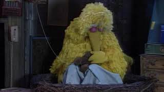 My Big Bird Snoring Voice