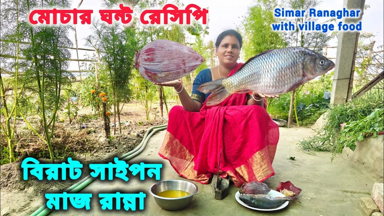 মোচার ঘন্ট একবার এভাবে বানিয়ে দেখুন। বড় সাইপন মাছ ঝোল ।