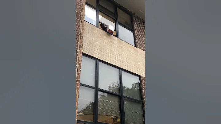 Egg Drop Lab