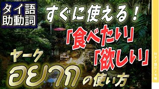 ※初心者向けタイ語「～したい」「～が欲しい」อยาก ヤーク の使い方