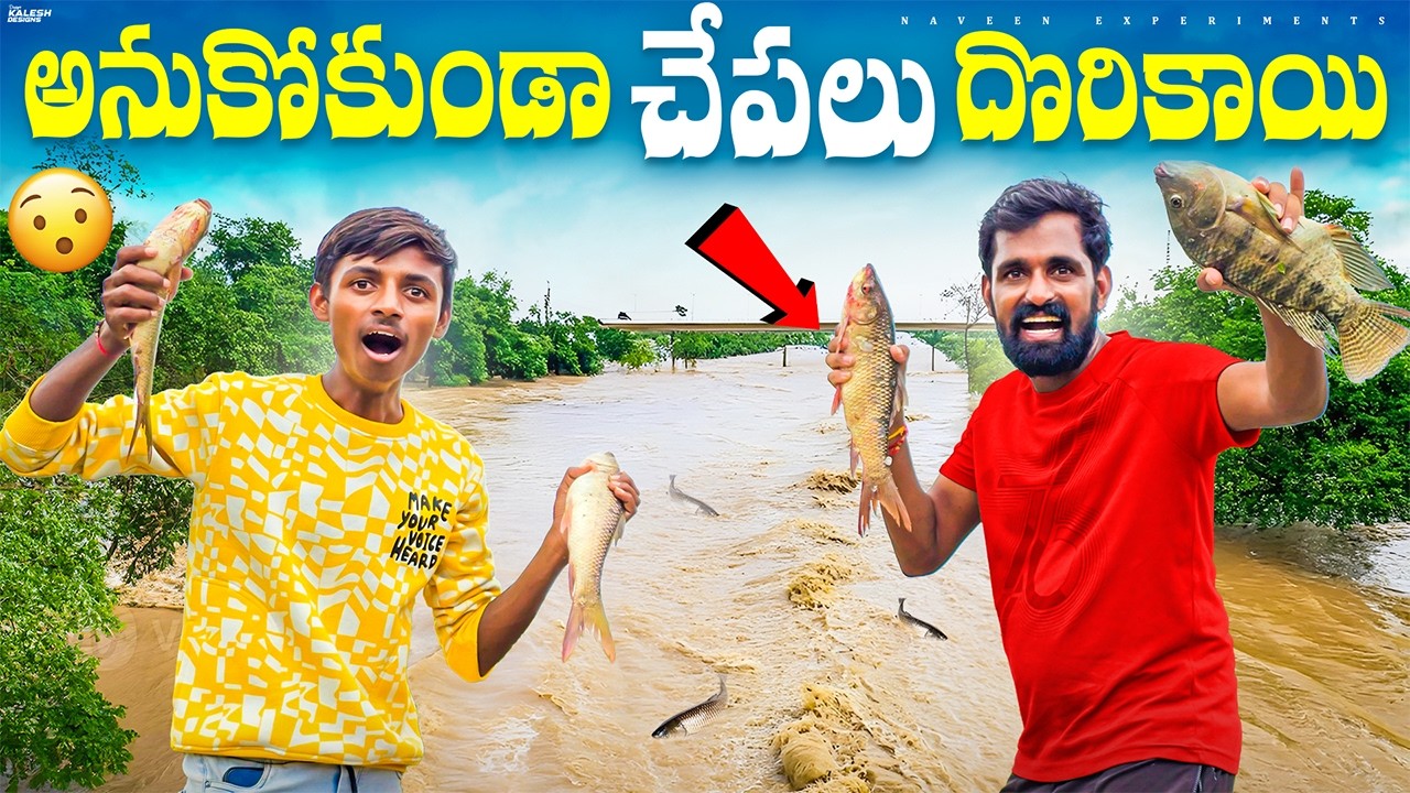 వాగు చూడడానికి వెళ్తే చేపలు దొరికాయి 😲 Net Fishing Skill Catch Giant Fish 🐟🦈 Naveen Experiments