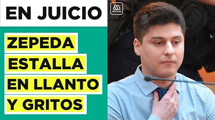 Nicols Zepeda se quebr en plena audiencia y estall...