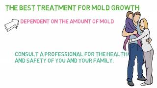 Celebrity Does Bleach Kill MOLD and Mildew? Wealth