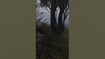 3 guys with sea chests one swimming with a barrel think I found the dupers #dayz