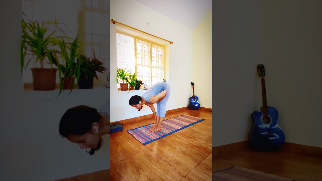 Traditional Hatha Yoga Sequence Virtunder traditional-hatha-yoga-sequence-virtunder