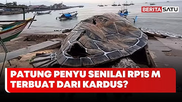 Patung Penyu Bernilai Miliaran Rusak, Ada Kardus di Dalam | Beritasatu