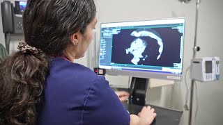 Billings professionals review ways to improve cardiovascular health in first responders