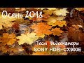 Тест видеокамеры Sony hdr-cx900e. (cx900e footage)