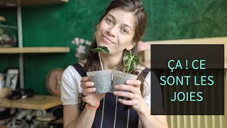 #10 VLOG | LES JOIES DU JARDINAGE + BULBILLE ALOCASIA & NOUVEAUTÉ | ÉPISODE D'UNE PLANTADDICT