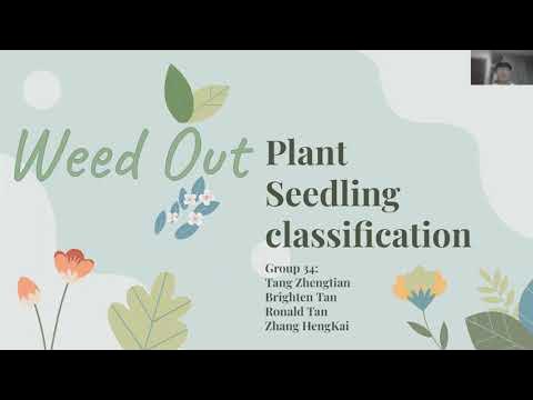 Kaggle Seedling Classification Presentation - YouTube
