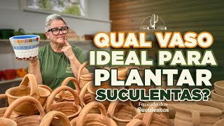 Qual é o VASO IDEAL para PLANTAR SUCULENTAS?