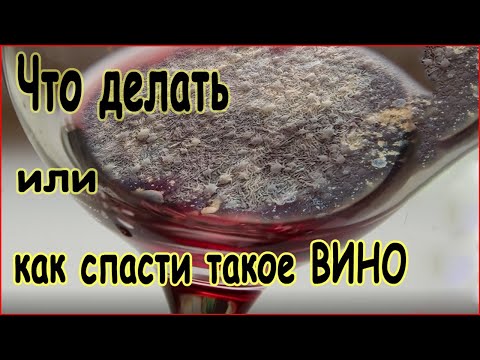 Винная цвель - одна из основных болезней вина.