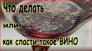 видео: Винная цвель - одна из основных болезней вина. картинка: Винная цвель - одна из основных болезней вина.