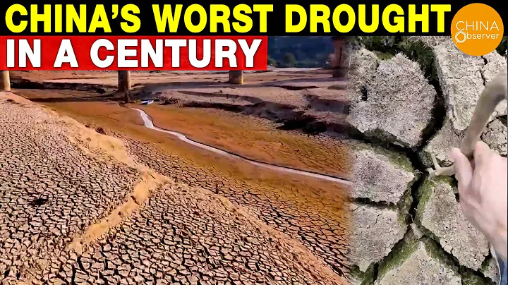 China’s Worst Drought in a Century | Yangtze River Basin Drought | 3 Gorges Dam | Food Crisis - DayDayNews