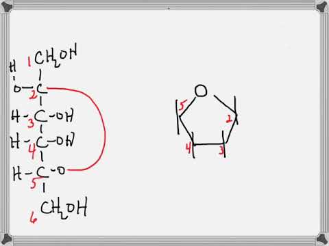 Cyclization of a Sugar to Form a Furanose Ring - YouTube
