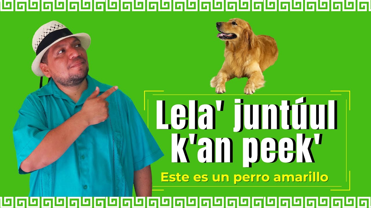 Los colores en maya yucateco. Pronunciación y uso en frases básicas. Aprende GRATIS Lengua Maya.