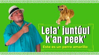 Los colores en maya yucateco. Pronunciación y uso en frases básicas. Aprende GRATIS Lengua Maya.