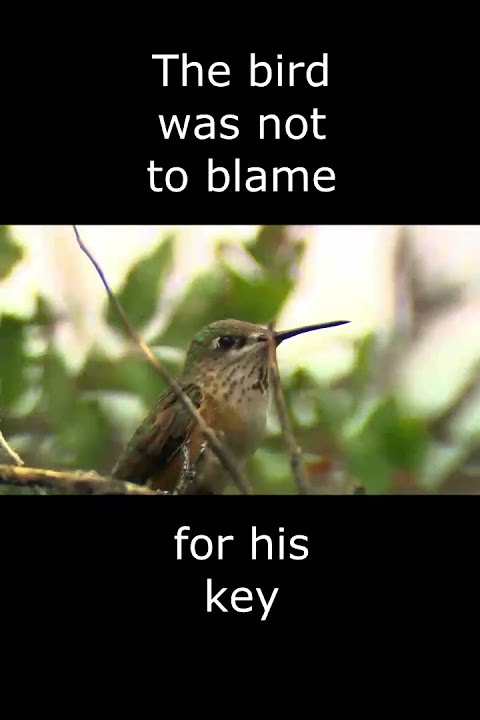 'A Minor Bird' Poem about getting back to nature, by Robert Frost