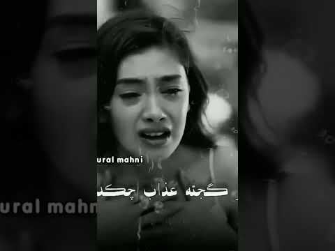 تورک تورکی آذری آذربایجان تورال