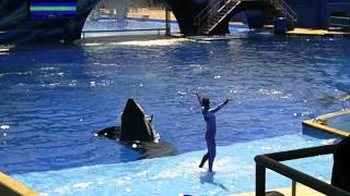IBM TechTrek & SeaWorld