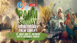 Live Divine Liturgy of Palm Sunday From St. Mary and St. Antonios Coptic Orthodox Church Queens, NY